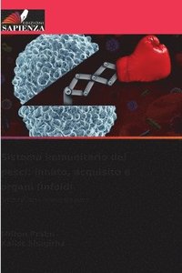 bokomslag Sistema immunitario dei pesci
