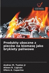 bokomslag Produkty uboczne z pieców na biomas¿ jako brykiety paliwowe