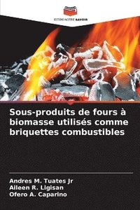 bokomslag Sous-produits de fours à biomasse utilisés comme briquettes combustibles