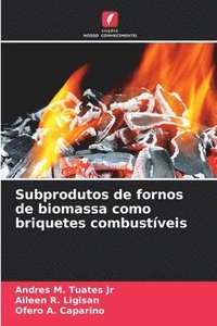 bokomslag Subprodutos de fornos de biomassa como briquetes combustíveis