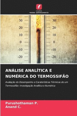 bokomslag Análise Analítica E Numérica Do Termossifão