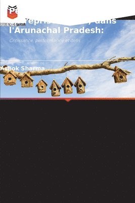 Petites et moyennes entreprises (PME) dans l'Arunachal Pradesh