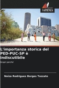 bokomslag L'importanza storica del PED-PUC-SP è indiscutibile