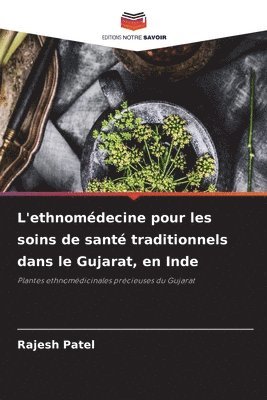 L'ethnomédecine pour les soins de santé traditionnels dans le Gujarat, en Inde