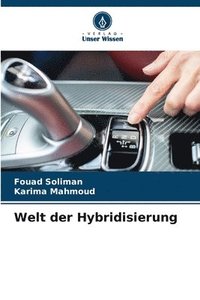 bokomslag Welt der Hybridisierung