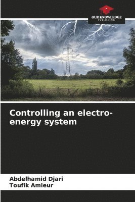 Abdelhamid Djari, Toufik Amieur - Controlling an electro-energy system, Häftad
