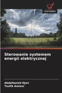 bokomslag Sterowanie systemem energii elektrycznej