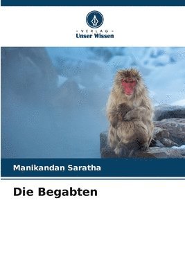 bokomslag Begabten
