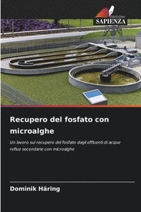 bokomslag Recupero del fosfato con microalghe