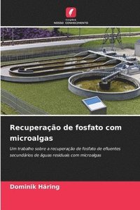 bokomslag Recuperação de fosfato com microalgas