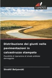 bokomslag Distribuzione dei giunti nelle pavimentazioni in calcestruzzo stampato