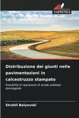 bokomslag Distribuzione dei giunti nelle pavimentazioni in calcestruzzo stampato