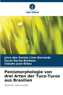 bokomslag Penismorphologie von drei Arten der Tuco-Tucos aus Brasilien