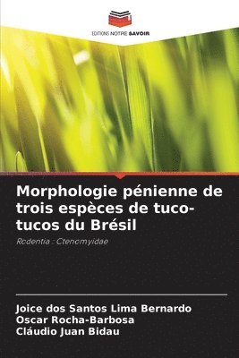 bokomslag Morphologie pénienne de trois espèces de tuco-tucos du Brésil