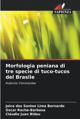 bokomslag Morfologia peniana di tre specie di tuco-tucos del Brasile