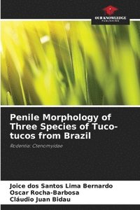 bokomslag Penile Morphology of Three Species of Tuco-tucos from Brazil