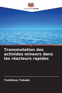 bokomslag Transmutation des actinides mineurs dans les réacteurs rapides