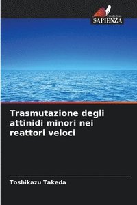 bokomslag Trasmutazione degli attinidi minori nei reattori veloci