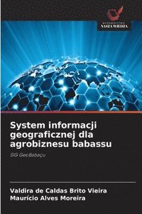 bokomslag System informacji geograficznej dla agrobiznesu babassu