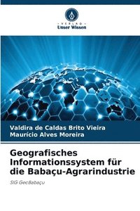 bokomslag Geografisches Informationssystem für die Babaçu-Agrarindustrie