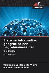 bokomslag Sistema informativo geografico per l'agrobusiness del babaçu