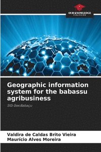 bokomslag Geographic information system for the babassu agribusiness