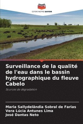 bokomslag Surveillance de la qualité de l'eau dans le bassin hydrographique du fleuve Cabelo