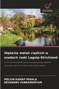 bokomslag St??enie metali ci??kich w osadach rzeki Lagaip-Strickland