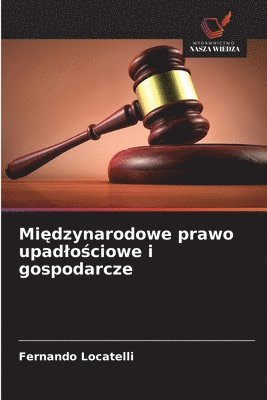 bokomslag Mi?dzynarodowe prawo upadlo?ciowe i gospodarcze