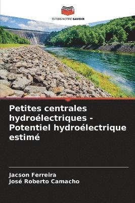 bokomslag Petites centrales hydroélectriques - Potentiel hydroélectrique estimé