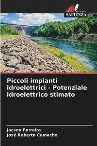 bokomslag Piccoli impianti idroelettrici - Potenziale idroelettrico stimato