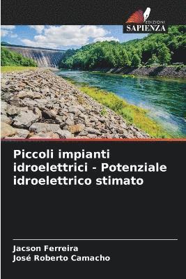 bokomslag Piccoli impianti idroelettrici - Potenziale idroelettrico stimato