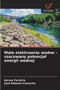 bokomslag Male elektrownie wodne - szacowany potencjal energii wodnej
