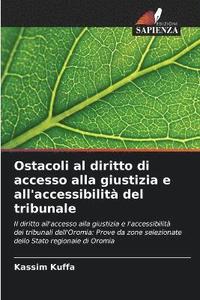 bokomslag Ostacoli al diritto di accesso alla giustizia e all'accessibilità del tribunale
