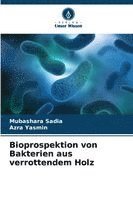 bokomslag Bioprospektion von Bakterien aus verrottendem Holz