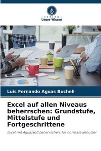 bokomslag Excel auf allen Niveaus beherrschen: Grundstufe, Mittelstufe und Fortgeschrittene