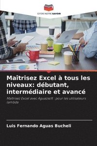 bokomslag Maîtrisez Excel à tous les niveaux: débutant, intermédiaire et avancé