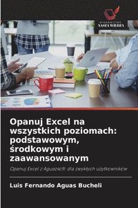bokomslag Opanuj Excel na wszystkich poziomach: podstawowym, ?rodkowym i zaawansowanym