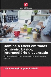 bokomslag Domine o Excel em todos os níveis