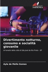 bokomslag Divertimento notturno, consumo e socialità giovanile