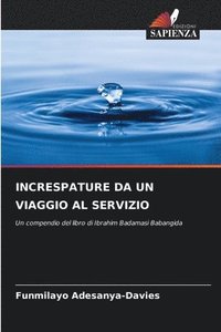 bokomslag Increspature Da Un Viaggio Al Servizio