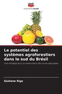 bokomslag potentiel des systèmes agroforestiers dans le sud du Brésil