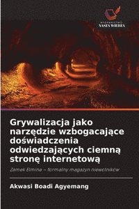 bokomslag Grywalizacja jako narz?dzie wzbogacaj?ce do?wiadczenia odwiedzaj?cych ciemn? stron? internetow?