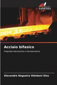bokomslag Acciaio bifasico