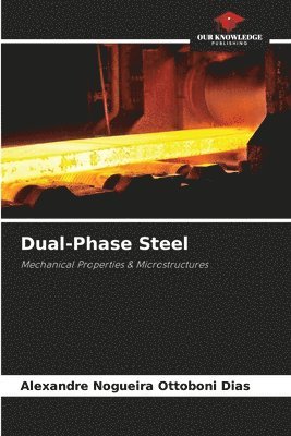bokomslag Dual-Phase Steel