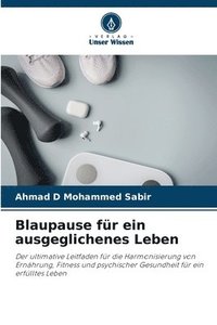 bokomslag Blaupause für ein ausgeglichenes Leben
