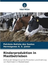 bokomslag Rinderproduktion in Mastbetrieben
