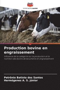 bokomslag Production bovine en engraissement