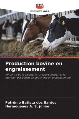 bokomslag Production bovine en engraissement