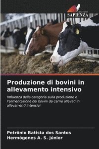 bokomslag Produzione di bovini in allevamento intensivo